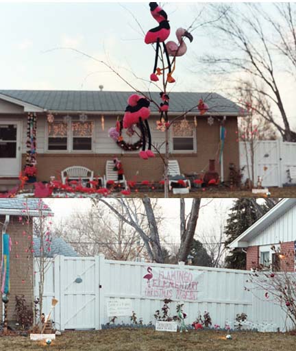 [dbl view span of front yard light display]